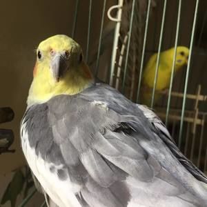 Meet your Posher, Danilo